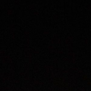 Meet your Posher, Gracie